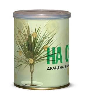 Подарочный набор для выращивания Драцена На счастье! 