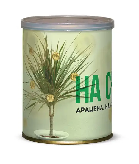 Подарочный набор для выращивания Драцена На счастье! 