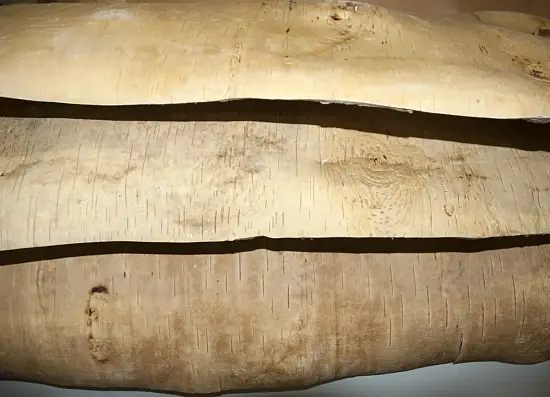 Береста в листах ( ~ 50 x 70 см), шт