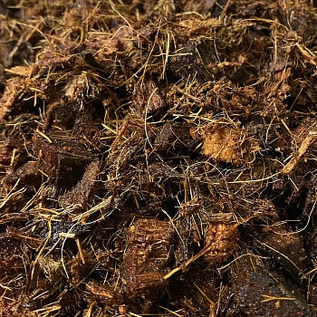 Garden Show Субстрат кокосовый для растений "ОРХИДЕЯ" таблетка 1,5 л, шт