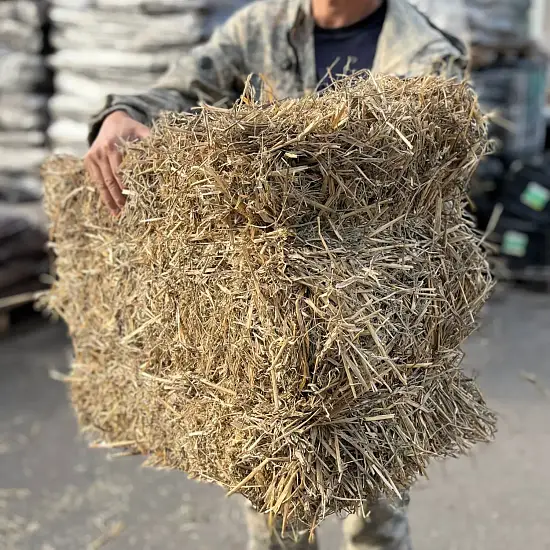 Солома золотистая, тюк