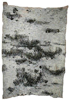 Береста в листах ( ~ 50 x 50 см), шт