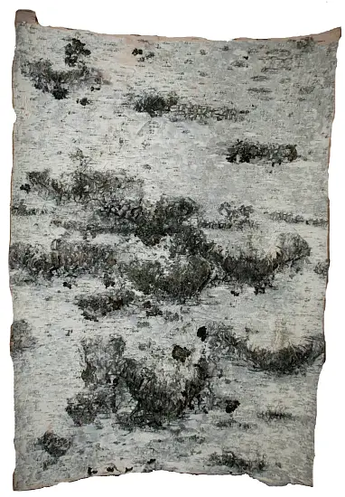 Береста в листах ( ~ 50 x 70 см), шт