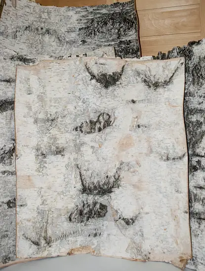 Береста в листах ( ~ 50 x 70 см), шт