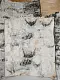 Береста в листах ( ~ 50 x 70 см), шт
