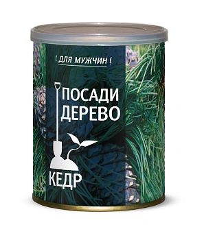 Подарочный набор для выращивания "Посади дерево КЕДР" 
