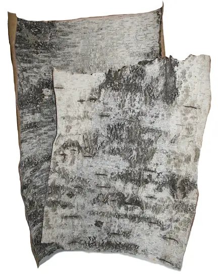 Береста в листах ( ~ 50 x 70 см), шт