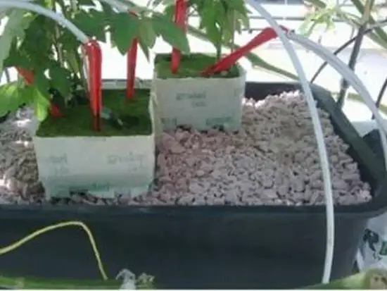 Пеностекло Субстрат Growplant, фр.  5-30 мм, зеленый, 50 л 