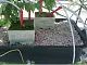Пеностекло Субстрат Growplant, фр. 5-30 мм, зеленый, 50 л